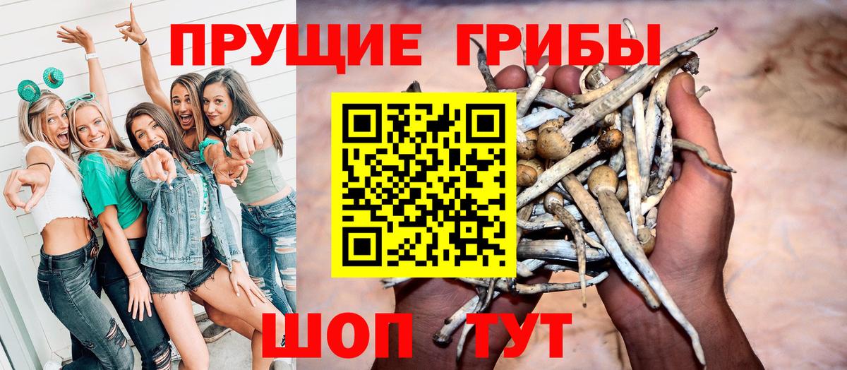 Псилоцибиновые грибы прущие грибы  Вход с VPN  Оренбург 